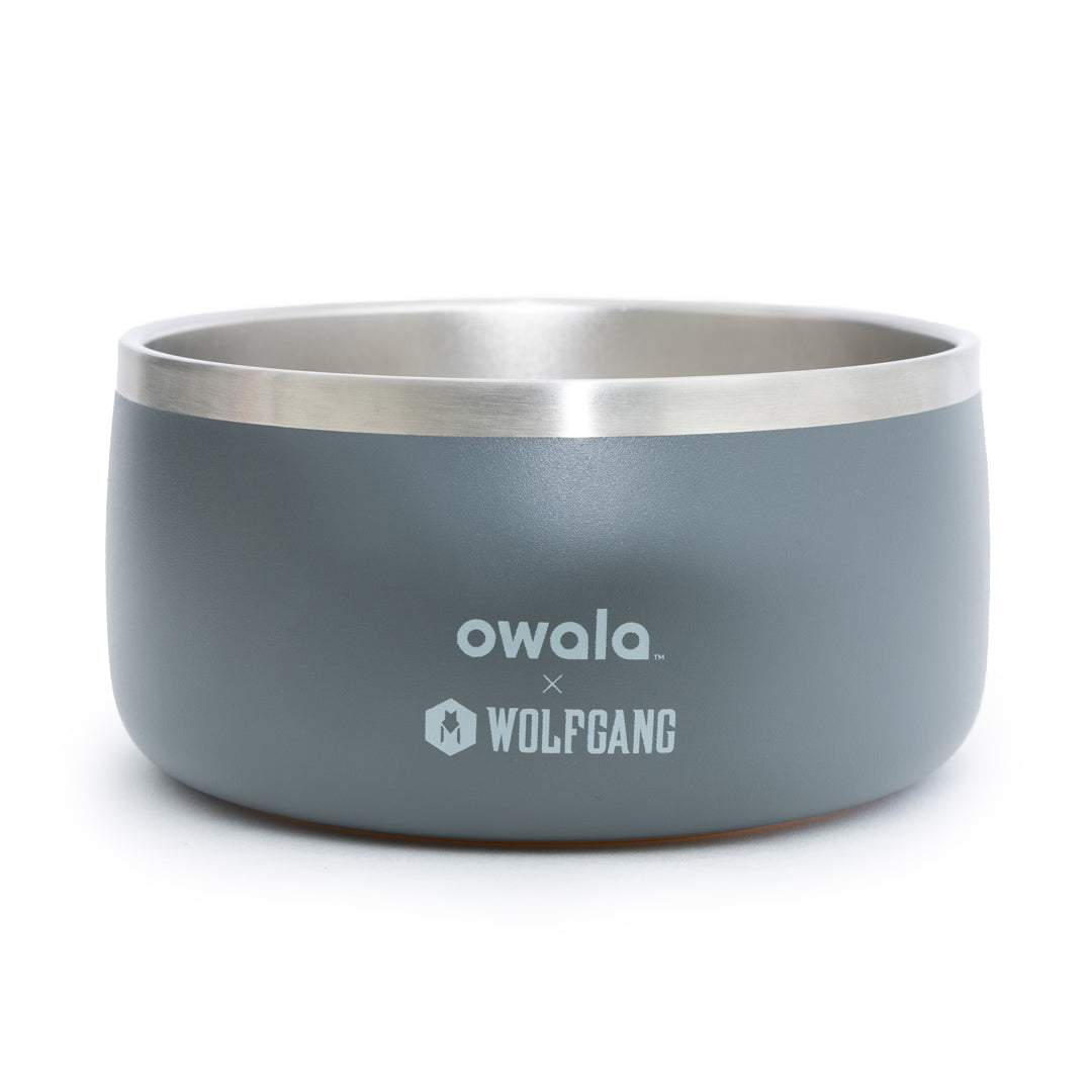 Top paw stainless outlet steel dog bowl