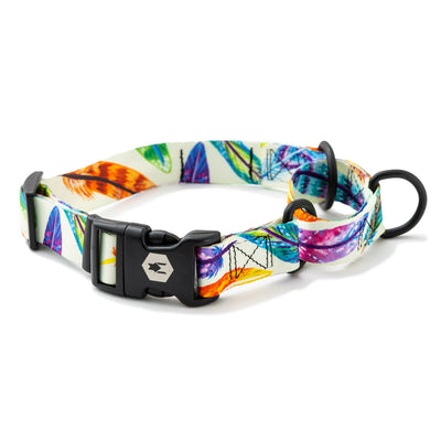 FeatheredFriend MARTINGALE DOG COLLAR