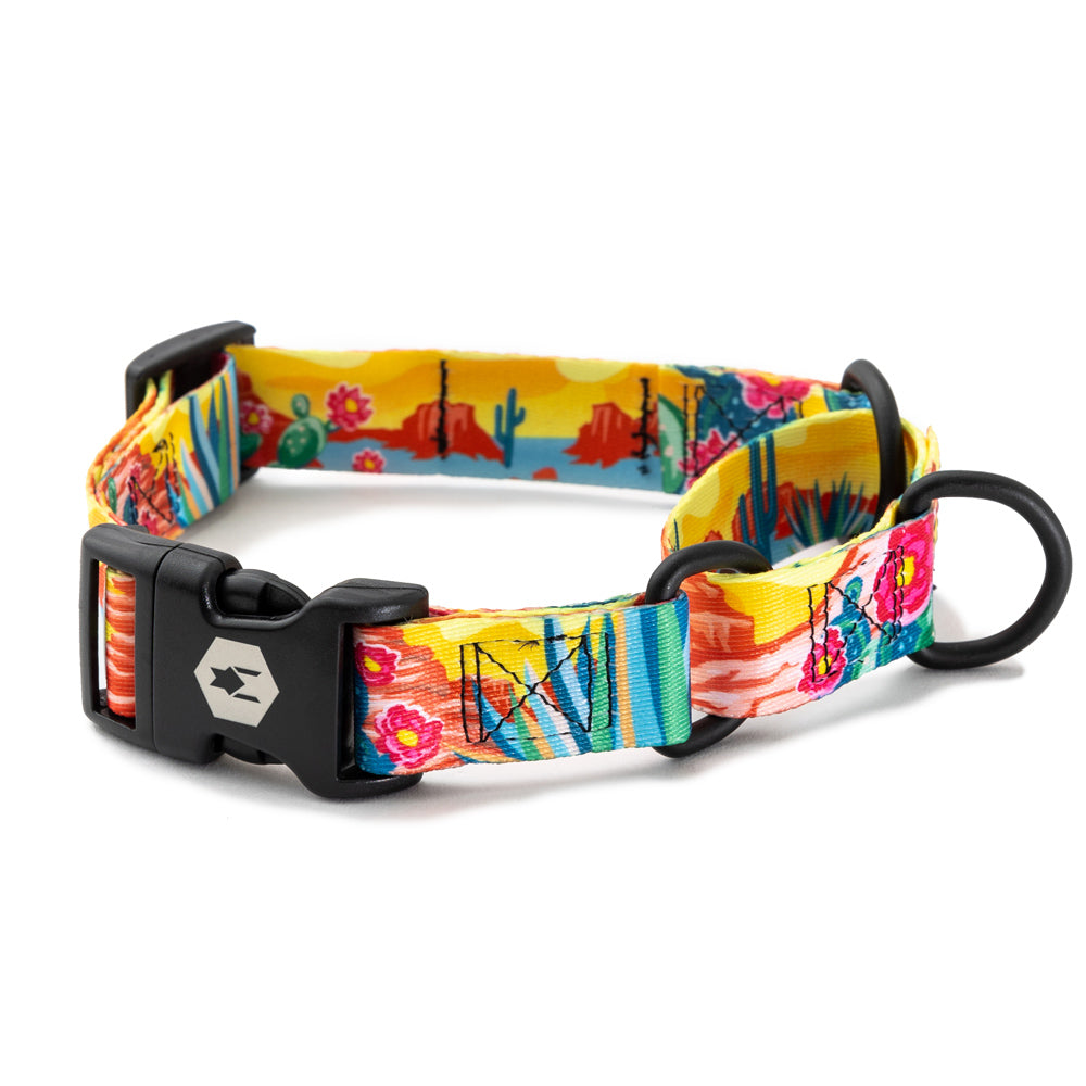 Pack deals leader collar