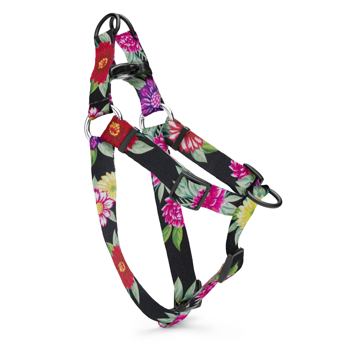 Colorful floral designs on a black background, on a harness.