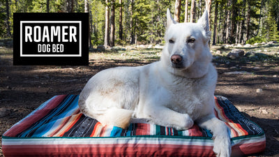 Welcome to your new favorite dog bed, the Roamer.