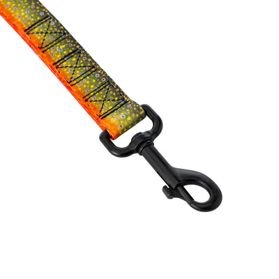 BrookTrout Dual Handle React Dog Leash