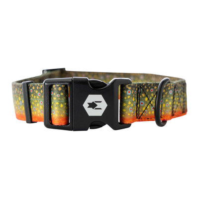 BrookTrout Dog Collar