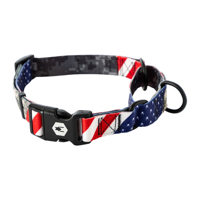 DigitalDog MARTINGALE DOG COLLAR