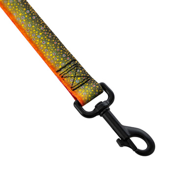 BrookTrout Dog Leash