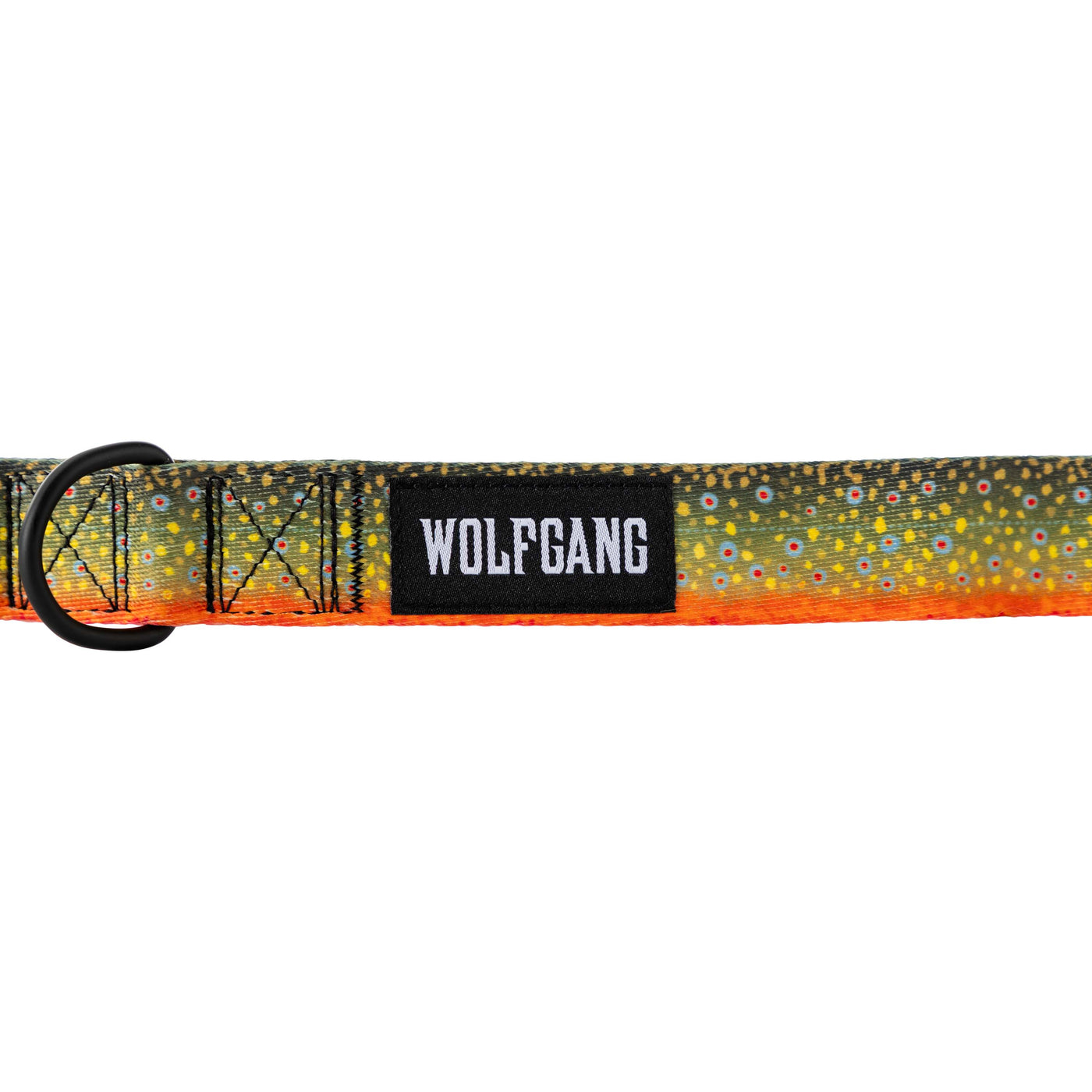 BrookTrout Dog Collar