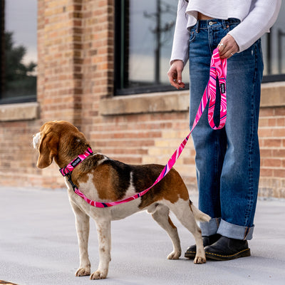 MarbleSwirl Dog Collar