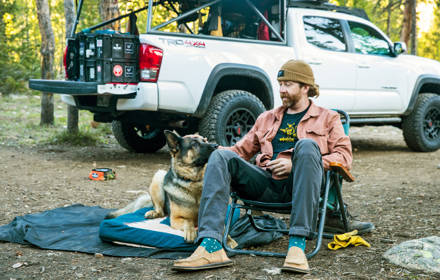 Roamer Dog Bed