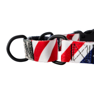 DigitalDog MARTINGALE DOG COLLAR