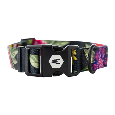 DarkFloral Dog Collar