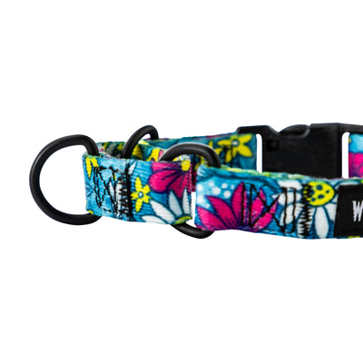 LazyDaisy Martingale Dog Collar