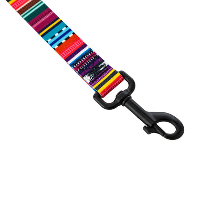 Quetzal Dog Leash