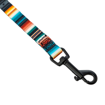 LostArt Dog Leash