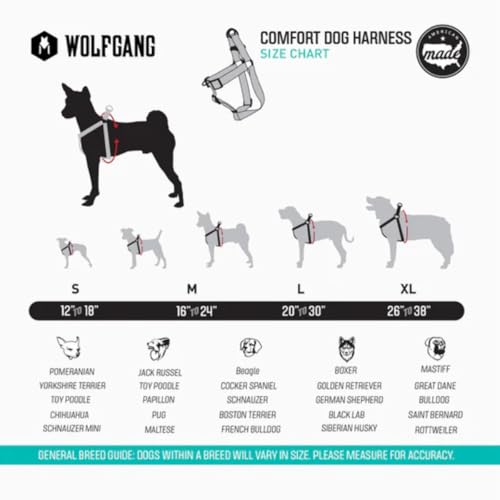 DigitalDog COMFORT DOG HARNESS