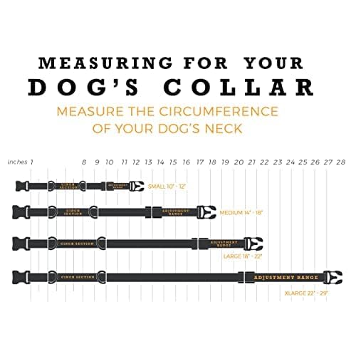 DawnPatrol Martingale Dog Collar