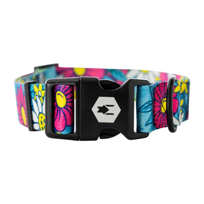 LazyDaisy Dog Collar