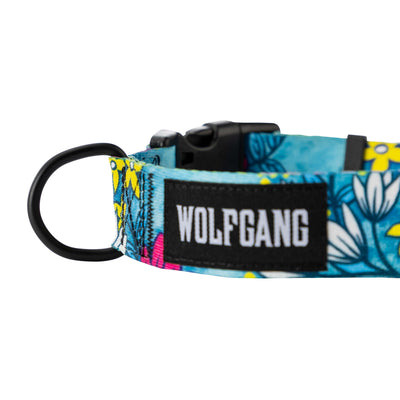 LazyDaisy Dog Collar