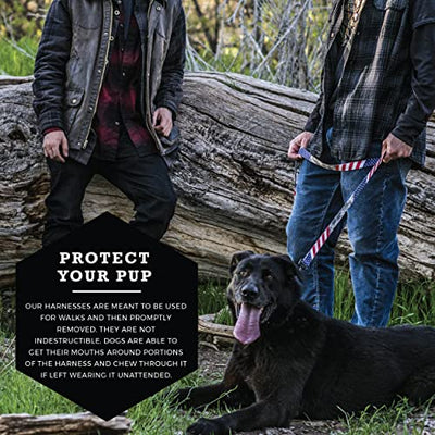 DigitalDog COMFORT DOG HARNESS