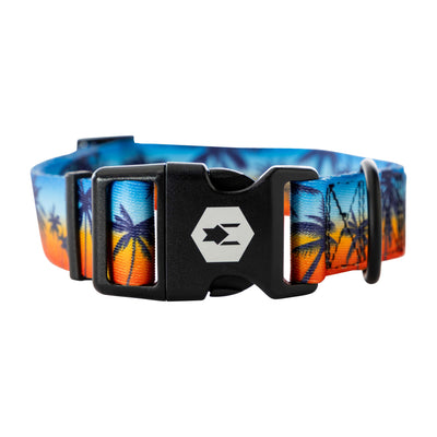 SunsetPalms Dog Collar