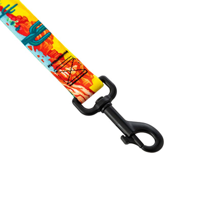 PackLeader Dog Leash