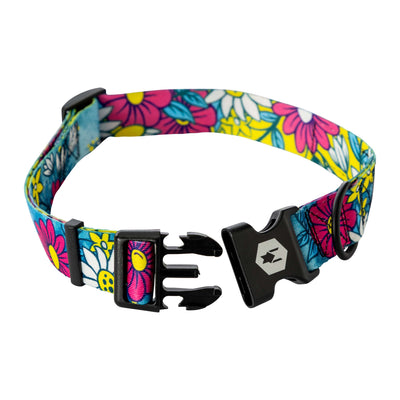 LazyDaisy Dog Collar