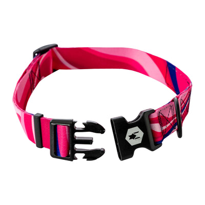 MarbleSwirl Dog Collar