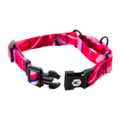 MarbleSwirl Martingale Dog Collar