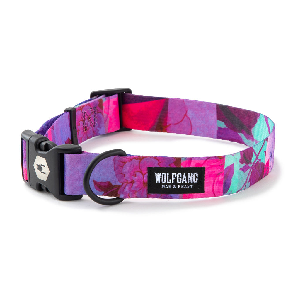 DayDream WIDE DOG COLLAR