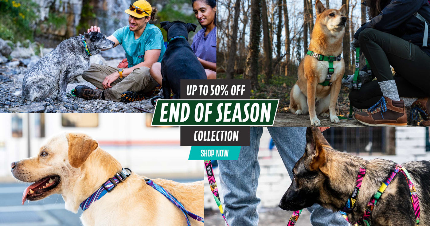 Wolfgang Dog Collars, Dog Leashes & Dog Harnesses