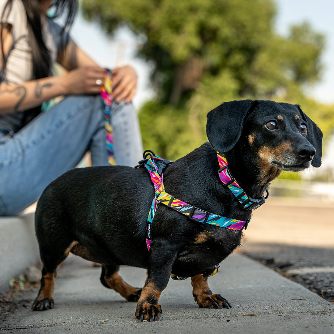 FuzzyTails COMFORT DOG HARNESS