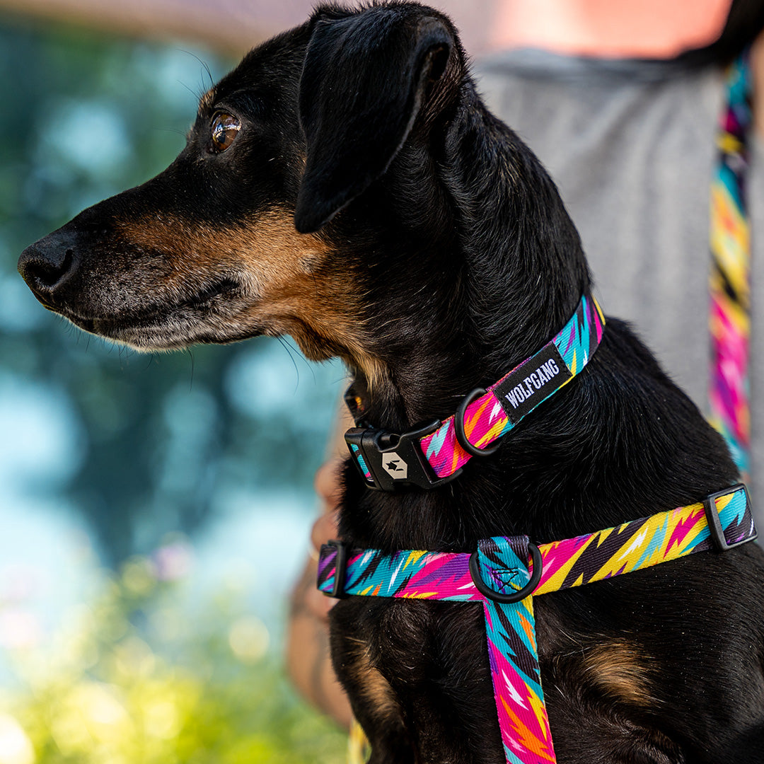 FuzzyTails COMFORT DOG HARNESS