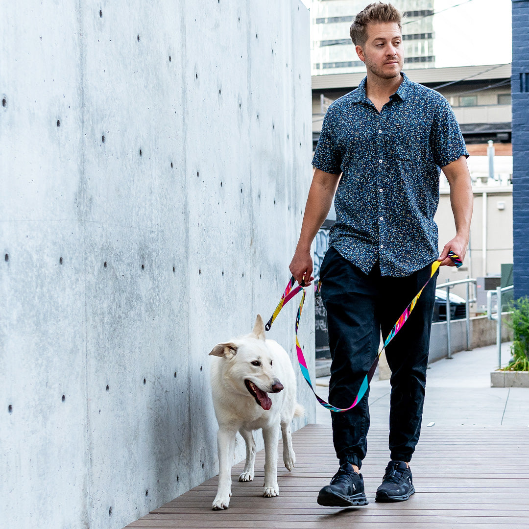 FuzzyTails REACT DUAL-HANDLE DOG LEASH