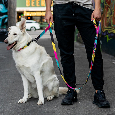 FuzzyTails REACT DUAL-HANDLE DOG LEASH