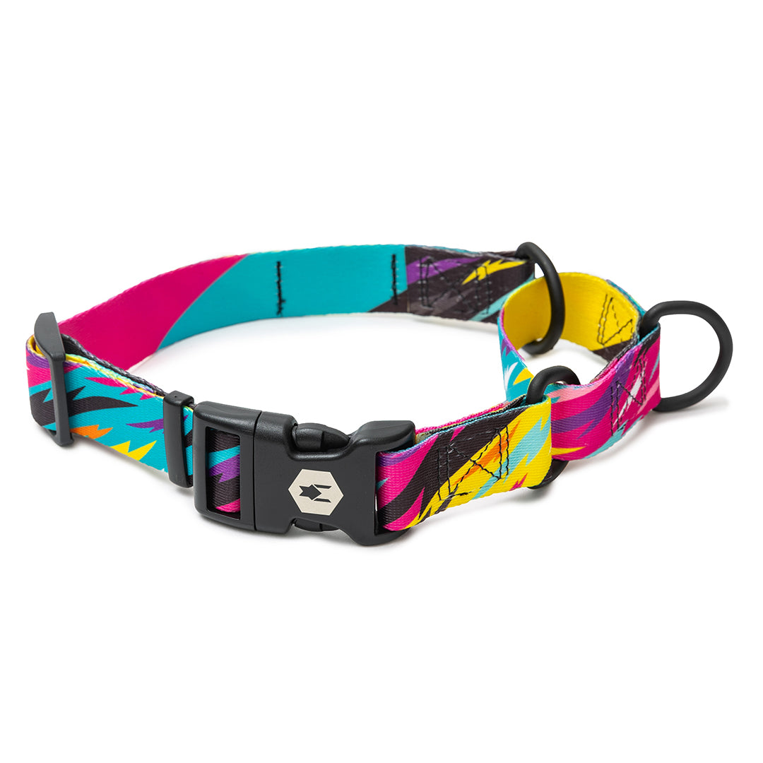 FuzzyTails MARTINGALE DOG COLLAR