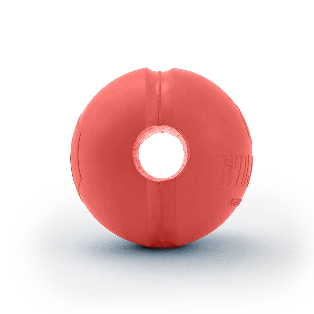 GnarBall RUBBER DOG TOY