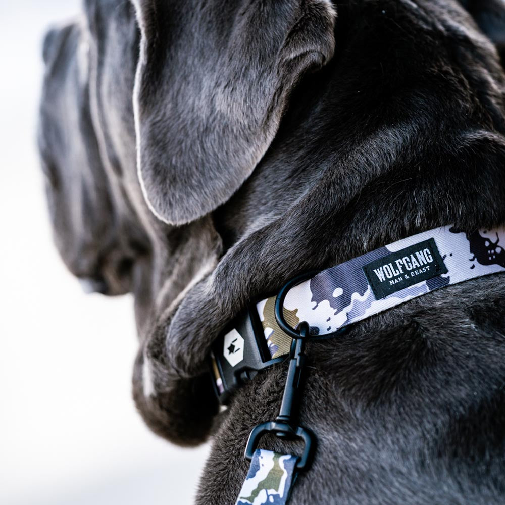 HideOut WIDE DOG COLLAR