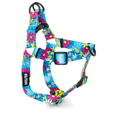 LazyDaisy COMFORT DOG HARNESS