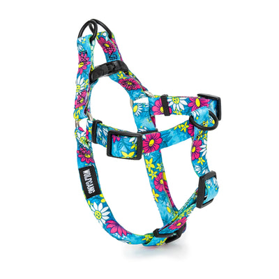 LazyDaisy COMFORT DOG HARNESS