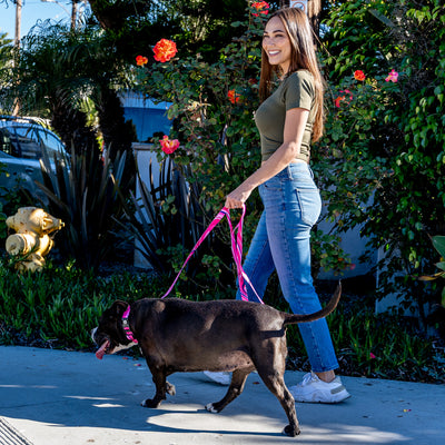 MarbleSwirl DOG LEASH