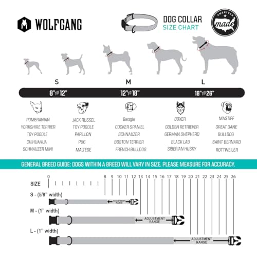 LazyDaisy Martingale Dog Collar