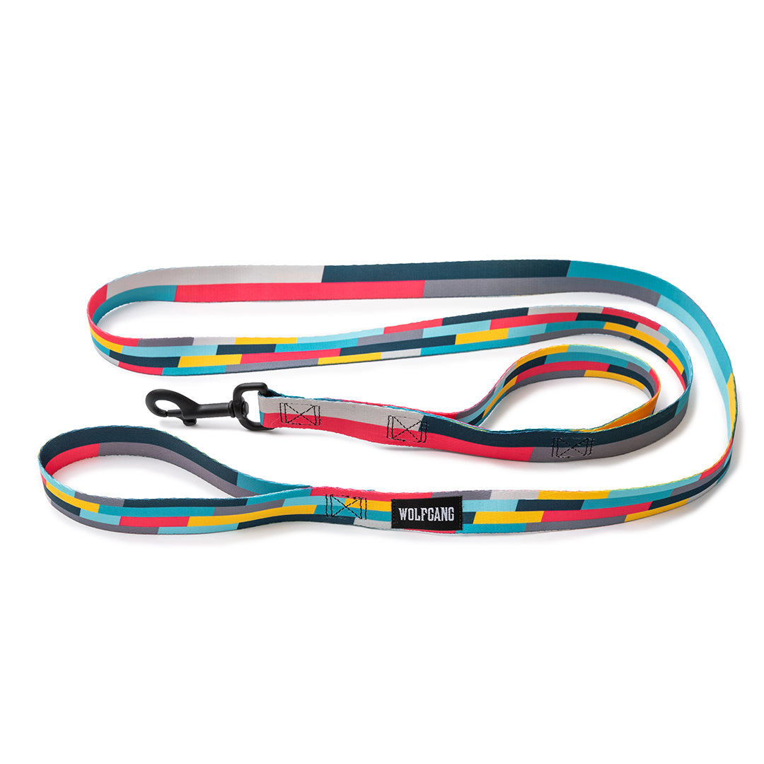 MixTape REACT DUAL-HANDLE DOG LEASH