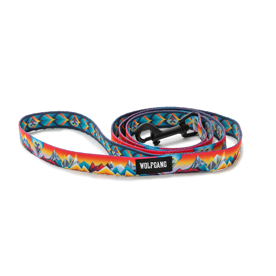 MountainVibes Dog Leash