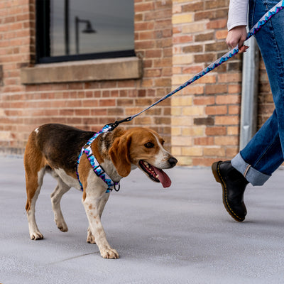 RockyPeaks COMFORT DOG HARNESS