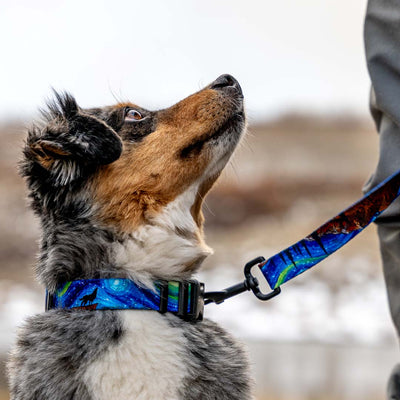 StarryWolf DOG COLLAR