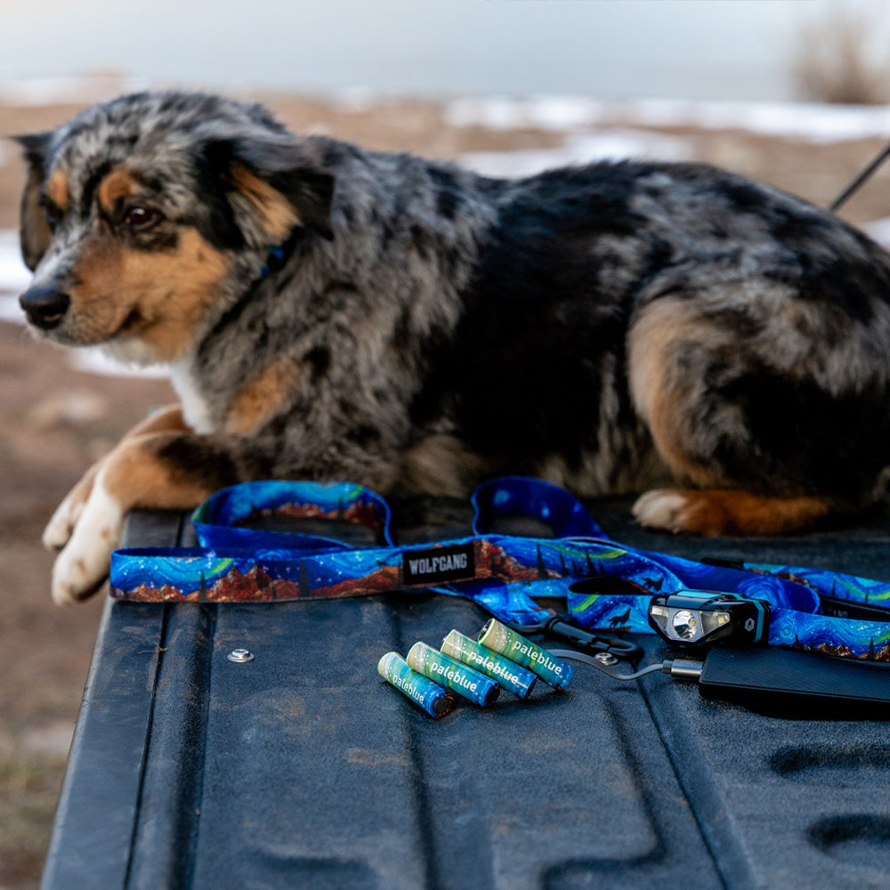 StarryWolf DOG WALKING KIT