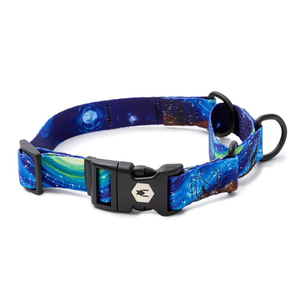 StarryWolf MARTINGALE DOG COLLAR