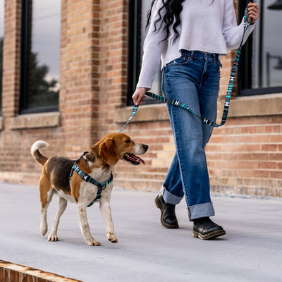 WesternSky COMFORT DOG HARNESS