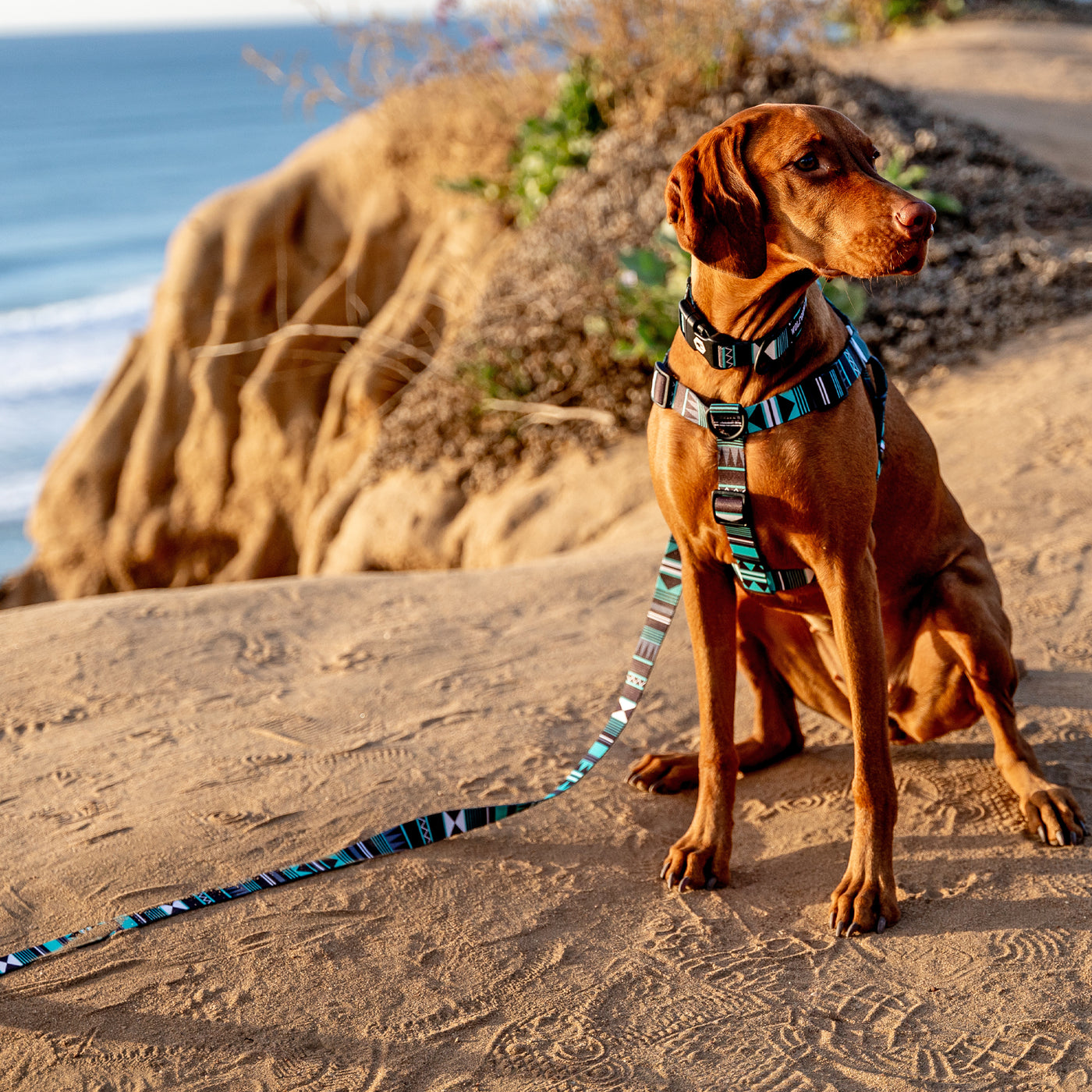 WesternSky DOG LEASH