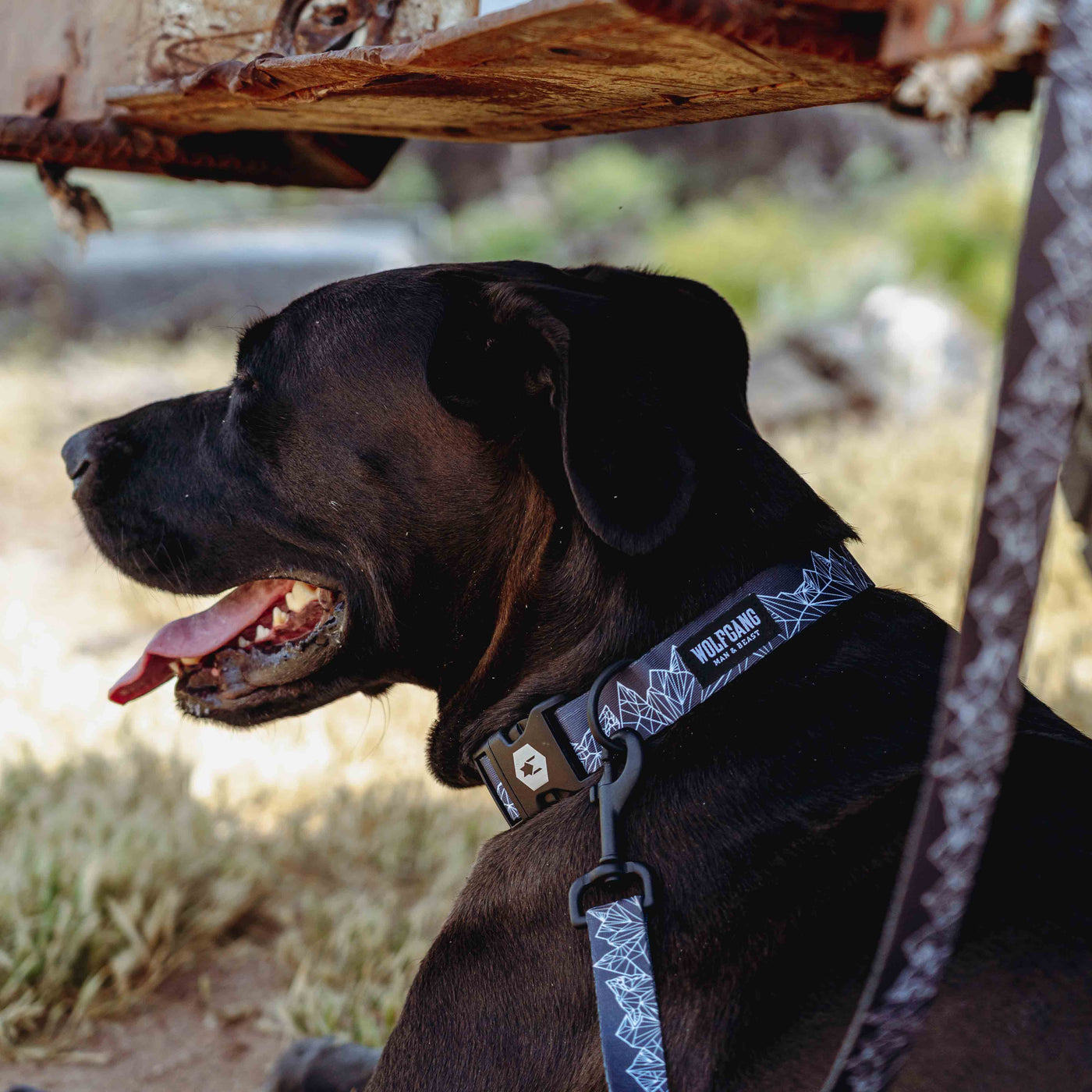 WolfMountain DOG COLLAR