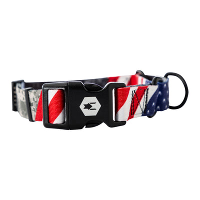 DigitalDog MARTINGALE DOG COLLAR